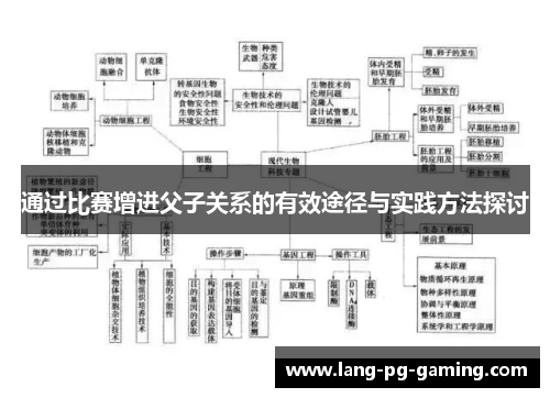 通过比赛增进父子关系的有效途径与实践方法探讨