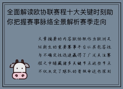 全面解读欧协联赛程十大关键时刻助你把握赛事脉络全景解析赛季走向