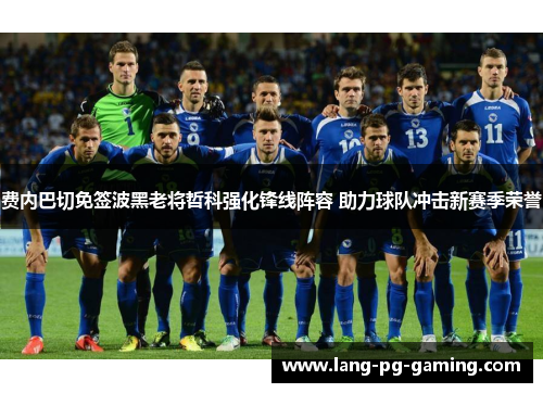 费内巴切免签波黑老将哲科强化锋线阵容 助力球队冲击新赛季荣誉